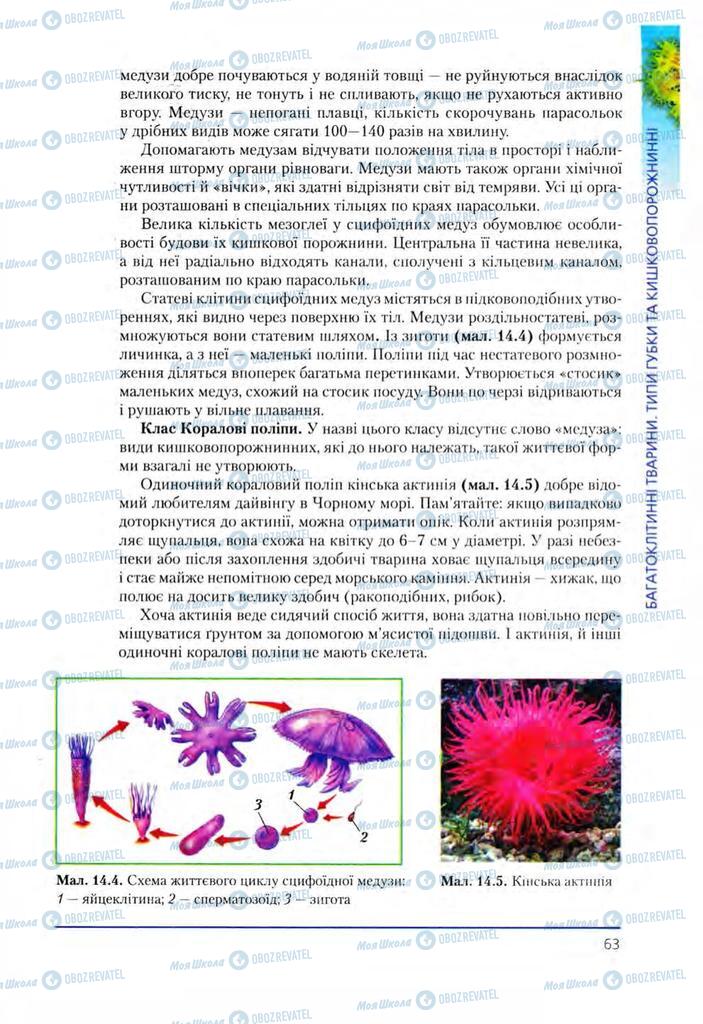 Підручники Біологія 8 клас сторінка 63