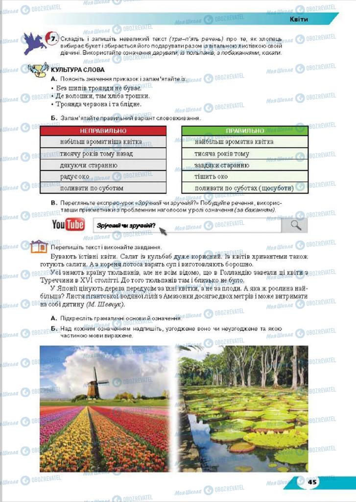 Підручники Українська мова 8 клас сторінка 45