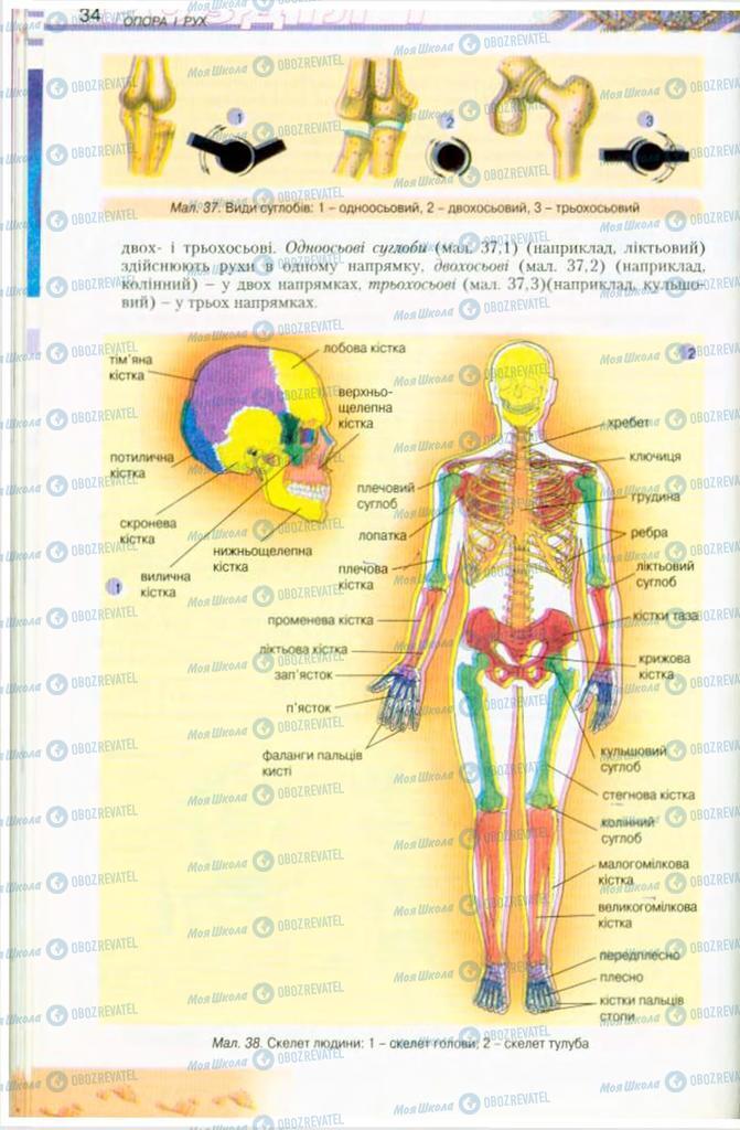 Учебники Биология 9 класс страница 34