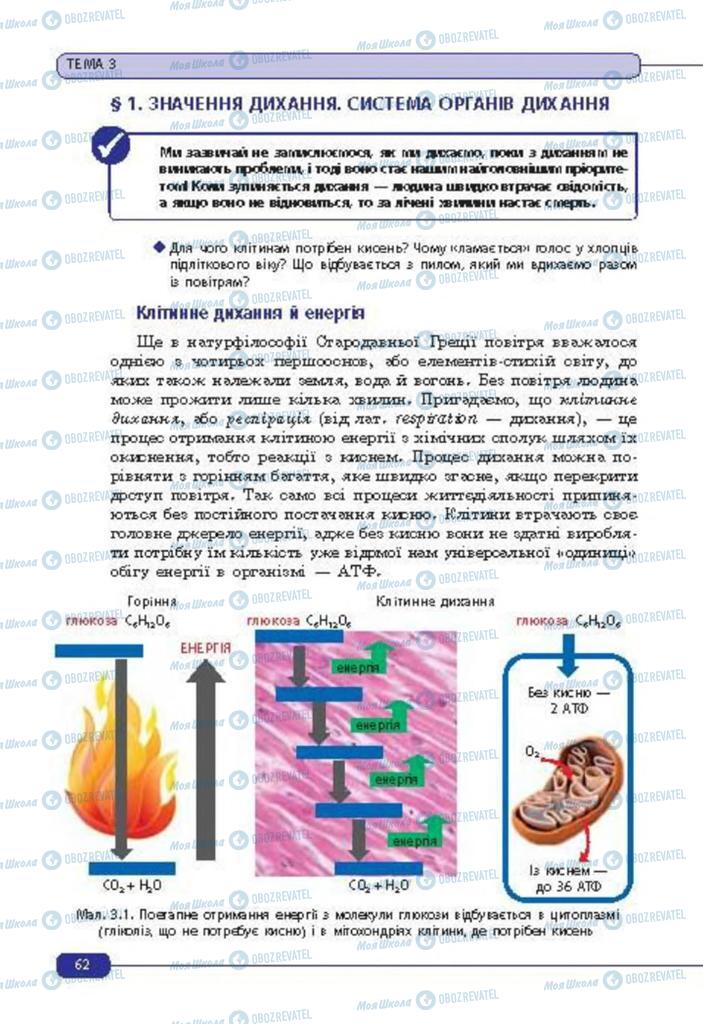 Підручники Біологія 8 клас сторінка  62