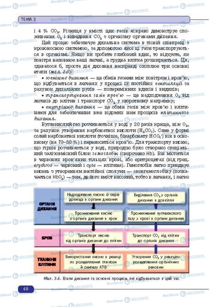 Учебники Биология 8 класс страница 68