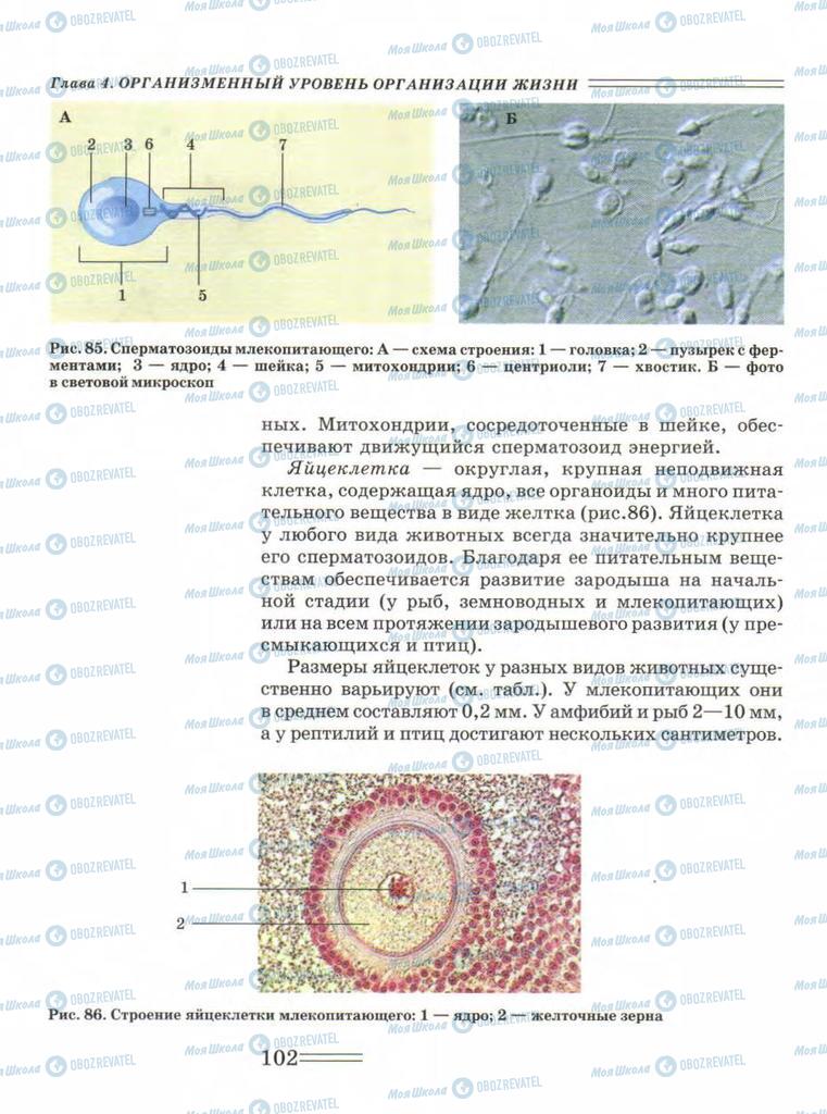 Учебники Биология 9 класс страница  102