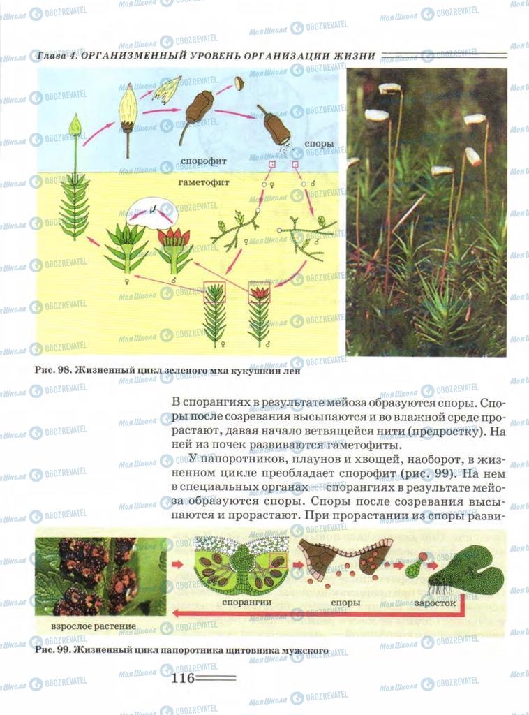 Учебники Биология 9 класс страница  116