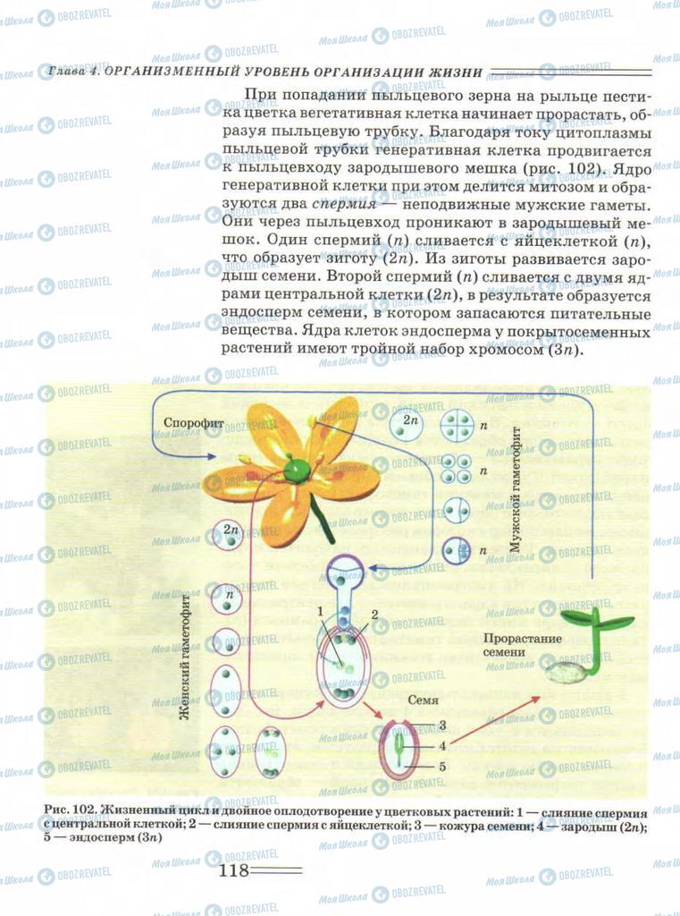 Підручники Біологія 9 клас сторінка  118
