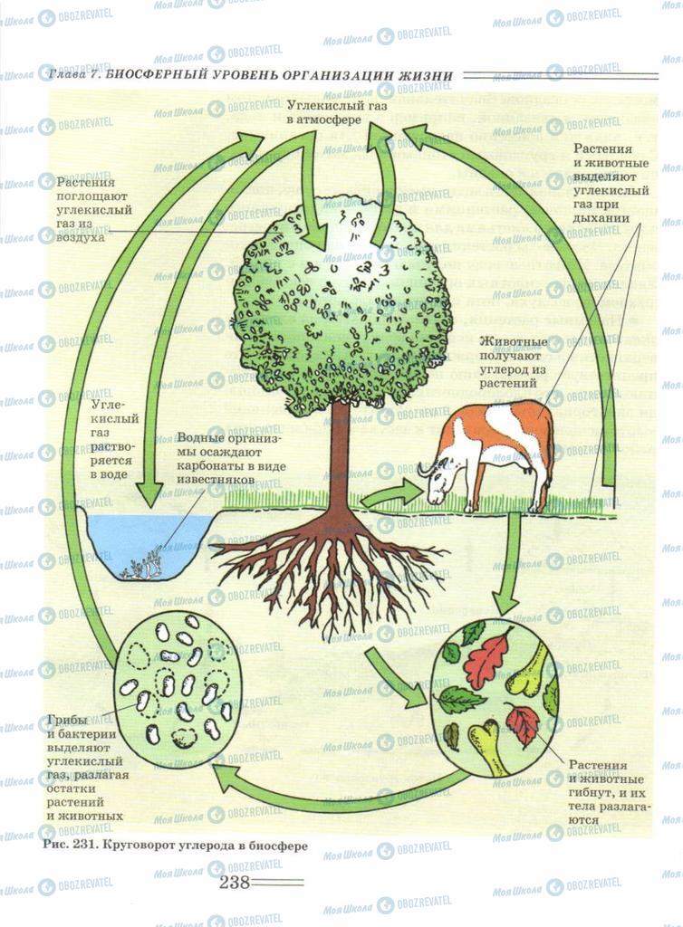Учебники Биология 9 класс страница  238