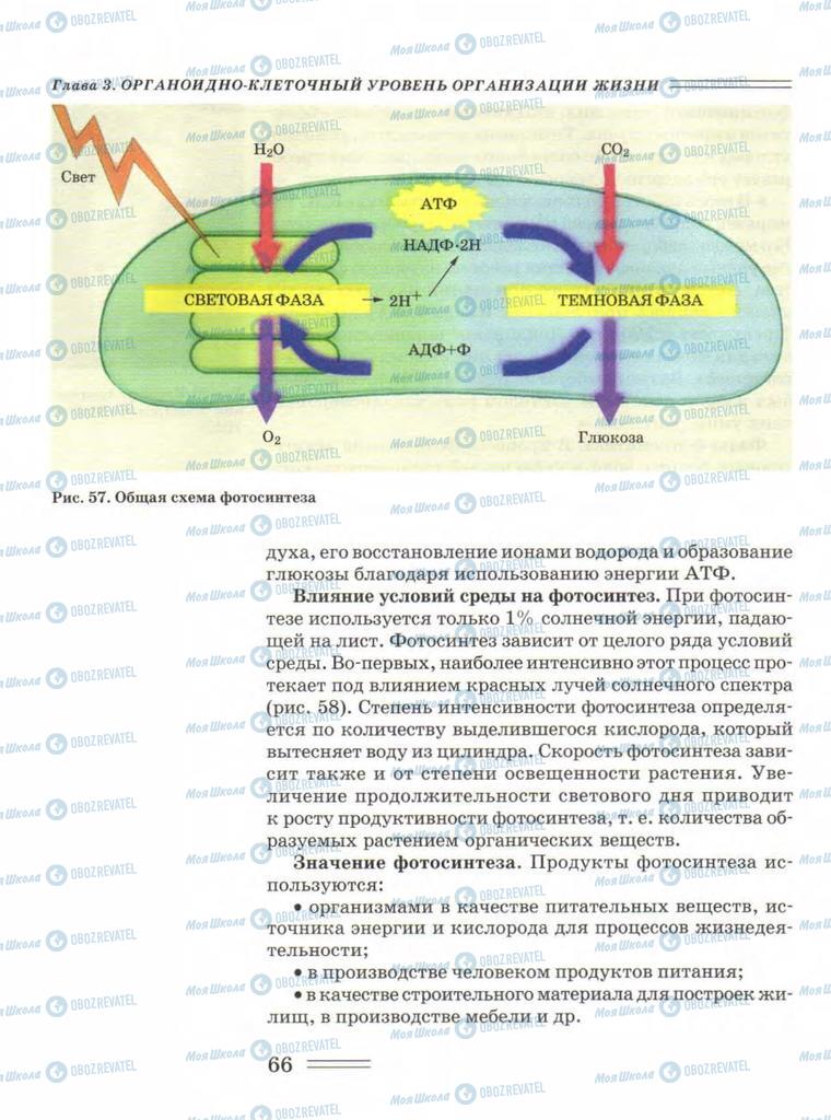 Підручники Біологія 9 клас сторінка  66