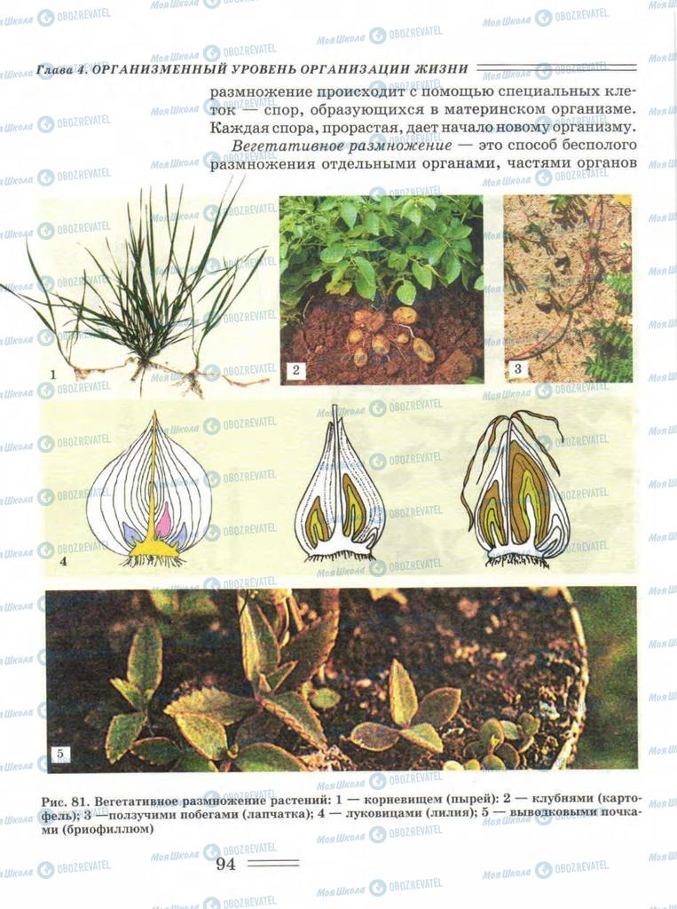 Учебники Биология 9 класс страница  94