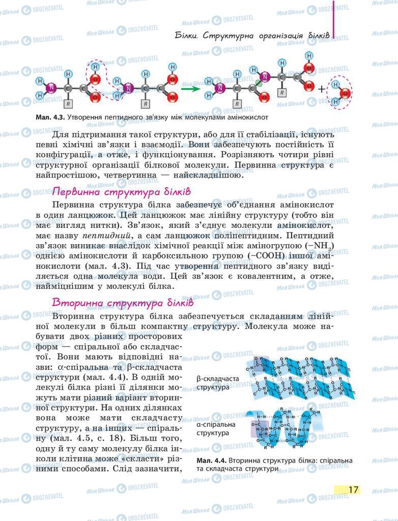 Підручники Біологія 9 клас сторінка 17