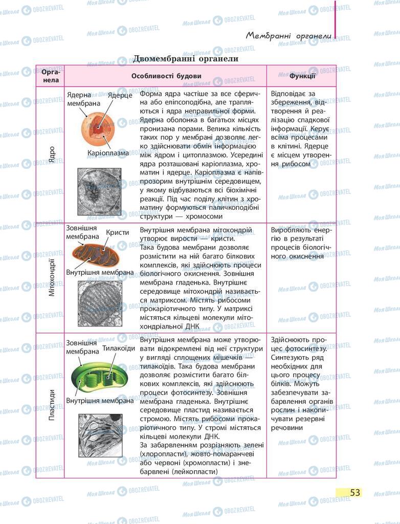 Підручники Біологія 9 клас сторінка 53