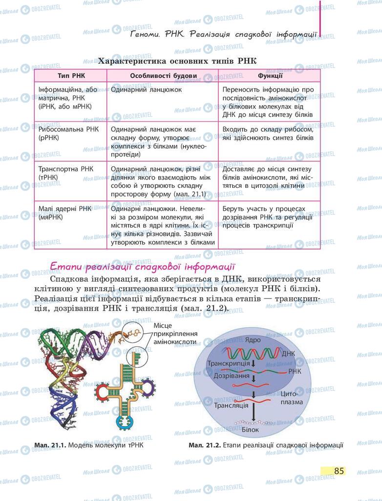 Підручники Біологія 9 клас сторінка 85