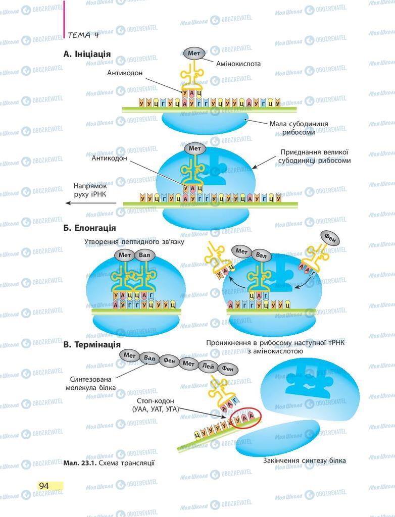 Підручники Біологія 9 клас сторінка 94