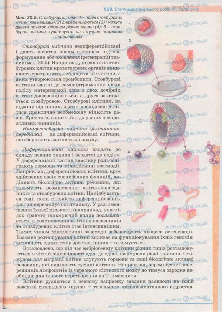 Підручники Біологія 11 клас сторінка 125