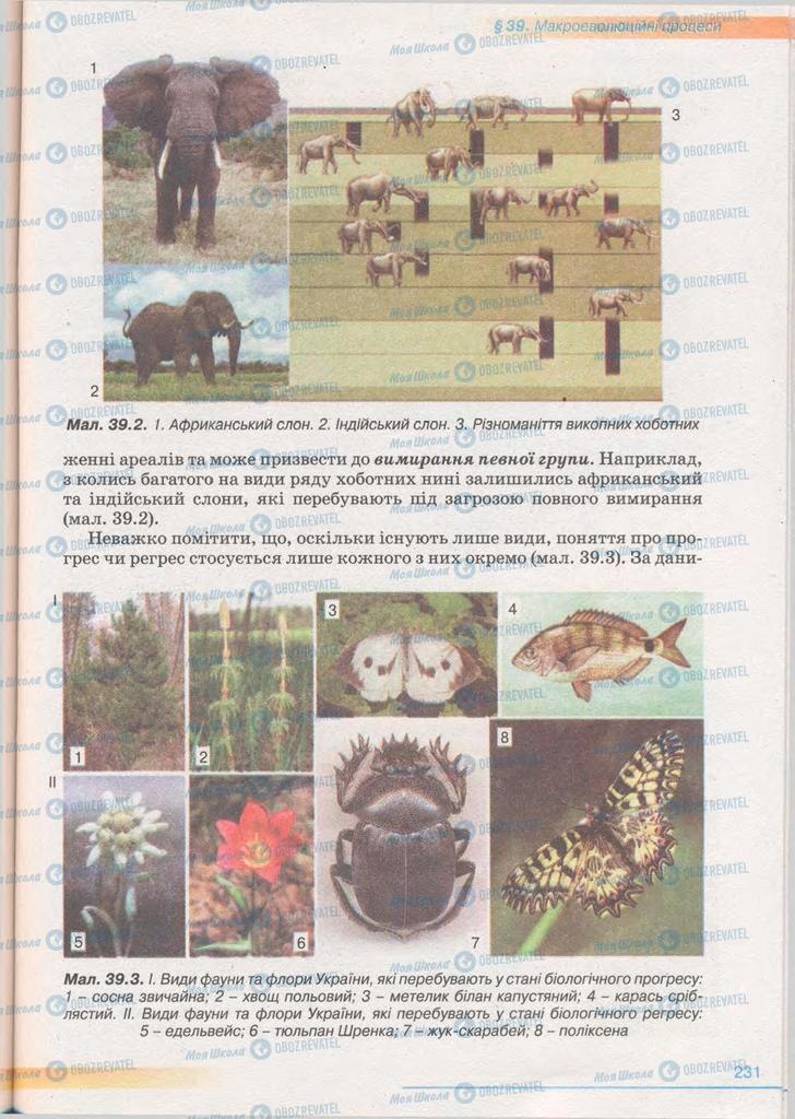 Учебники Биология 11 класс страница 231