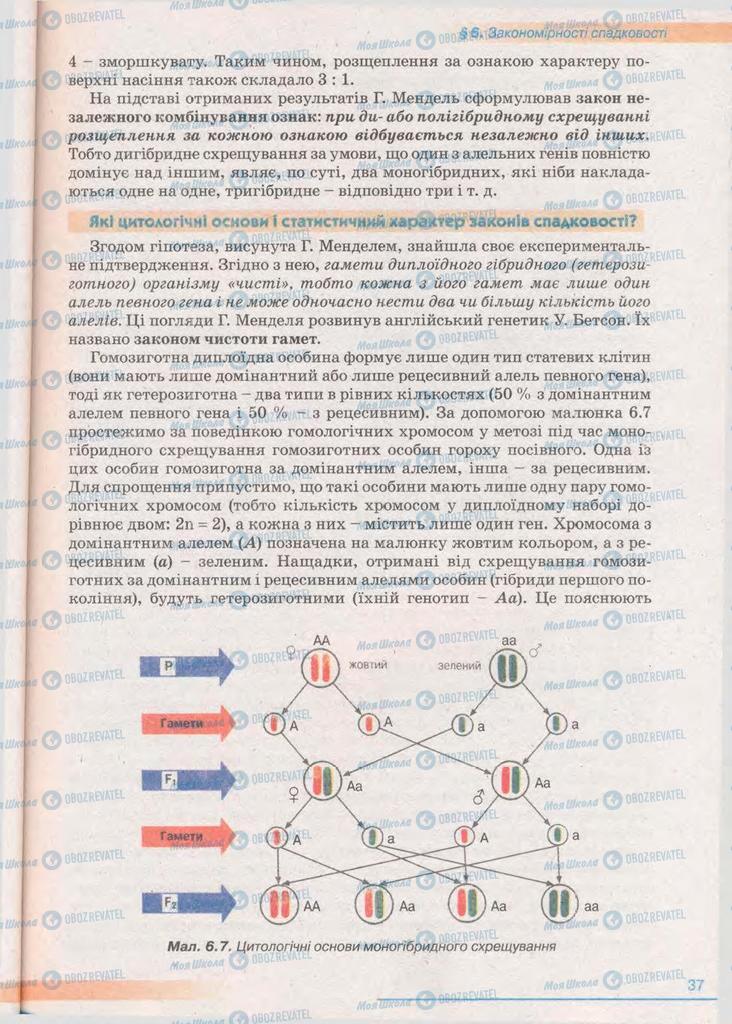 Підручники Біологія 11 клас сторінка 37