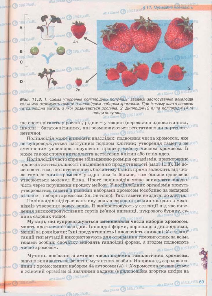 Підручники Біологія 11 клас сторінка 69