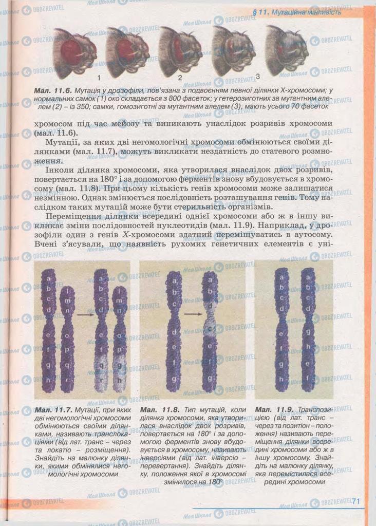 Учебники Биология 11 класс страница 71