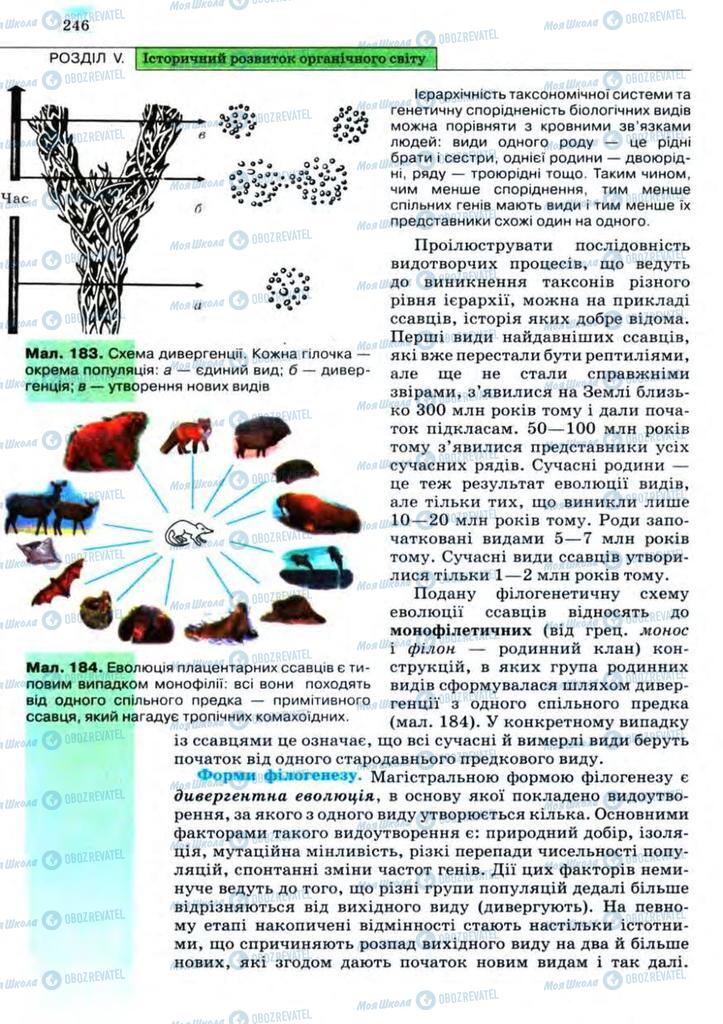 Підручники Біологія 11 клас сторінка 246