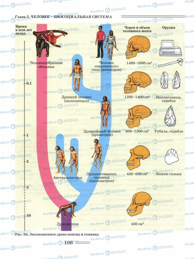 Учебники Биология 11 класс страница 106