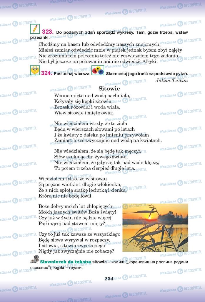 Учебники Польский язык 9 класс страница 234