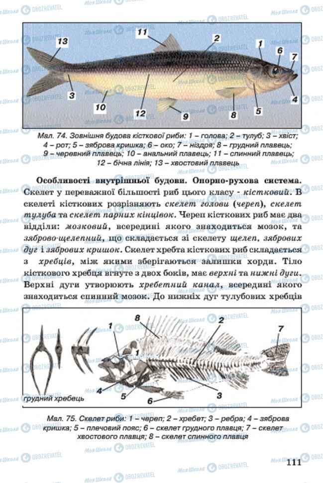 Підручники Біологія 7 клас сторінка 111
