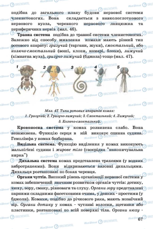 Підручники Біологія 7 клас сторінка 67