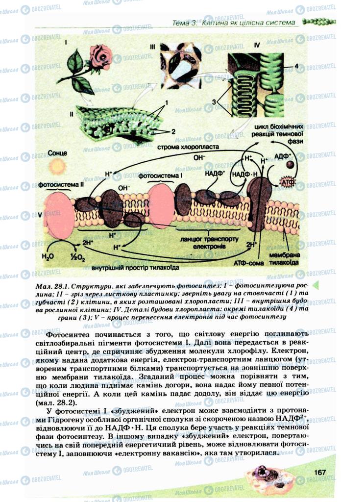 Підручники Біологія 10 клас сторінка 167