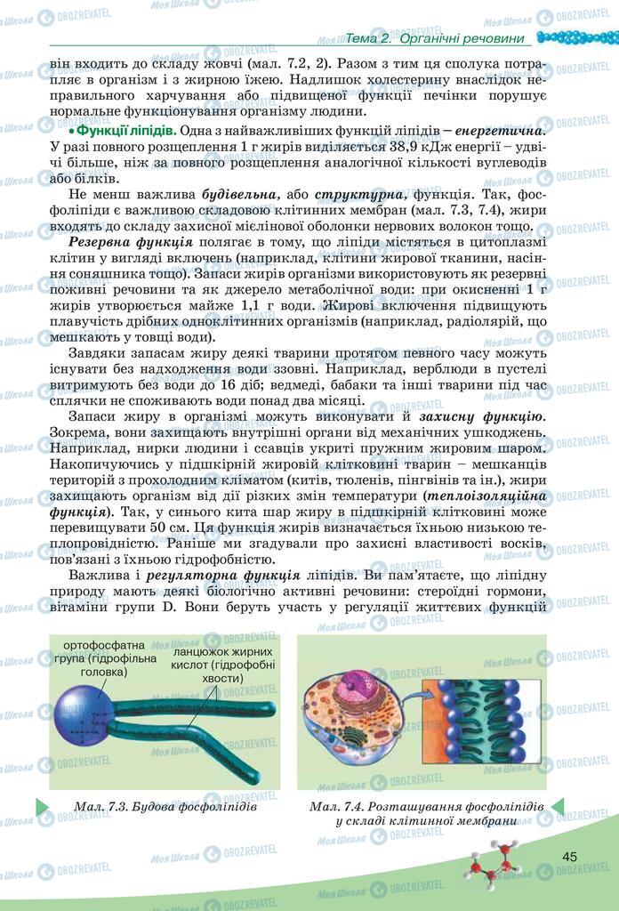 Підручники Біологія 10 клас сторінка 45