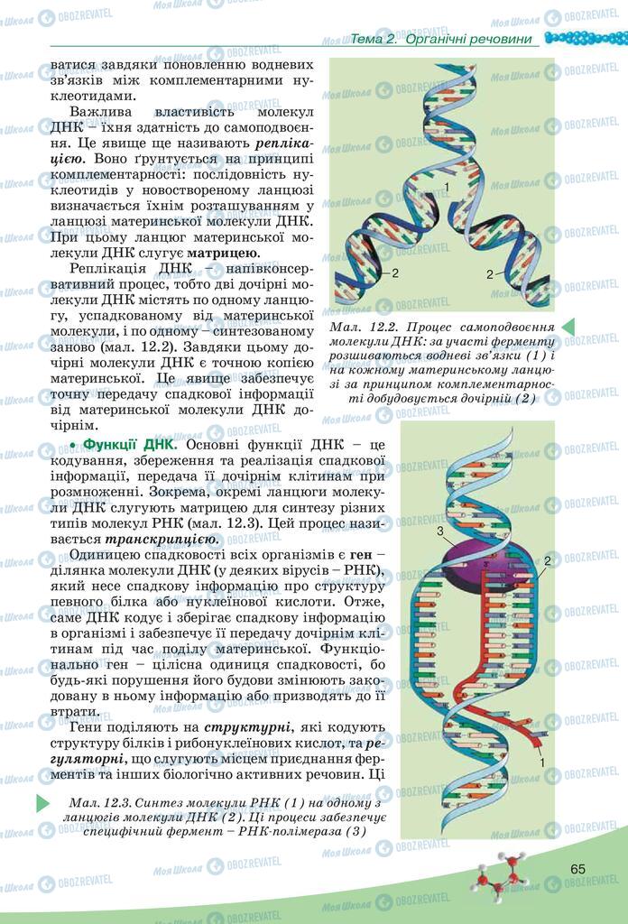 Підручники Біологія 10 клас сторінка 65