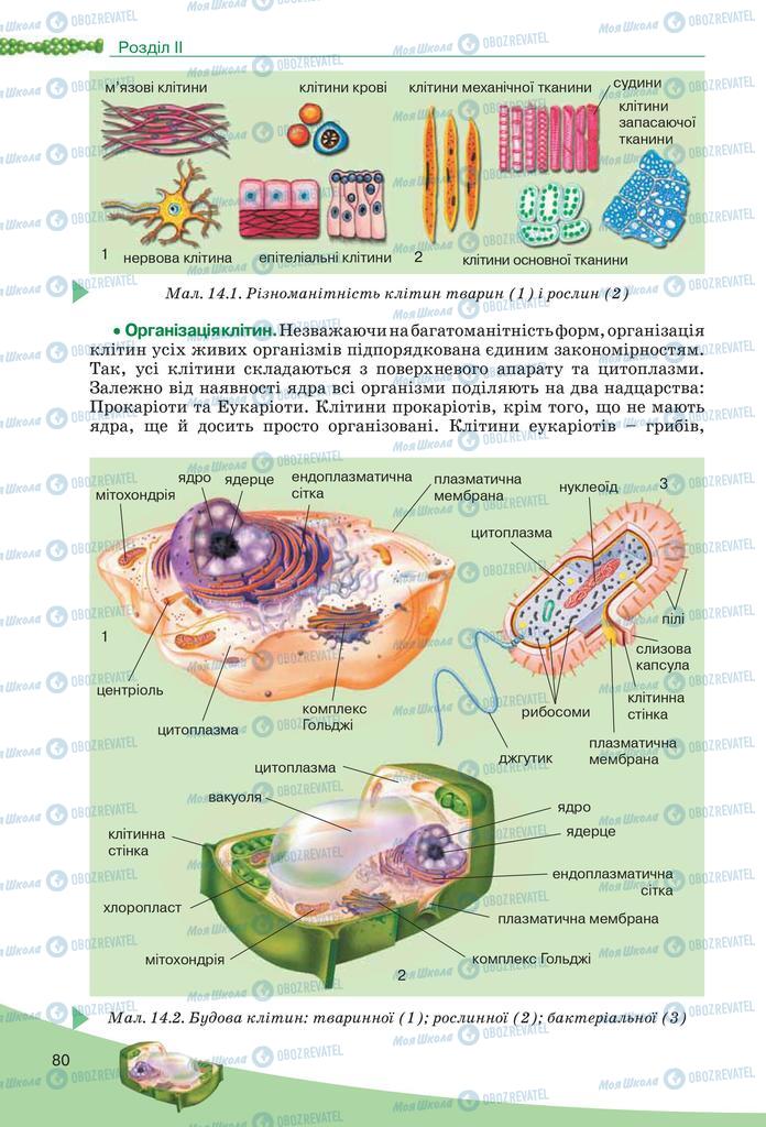 Підручники Біологія 10 клас сторінка 80