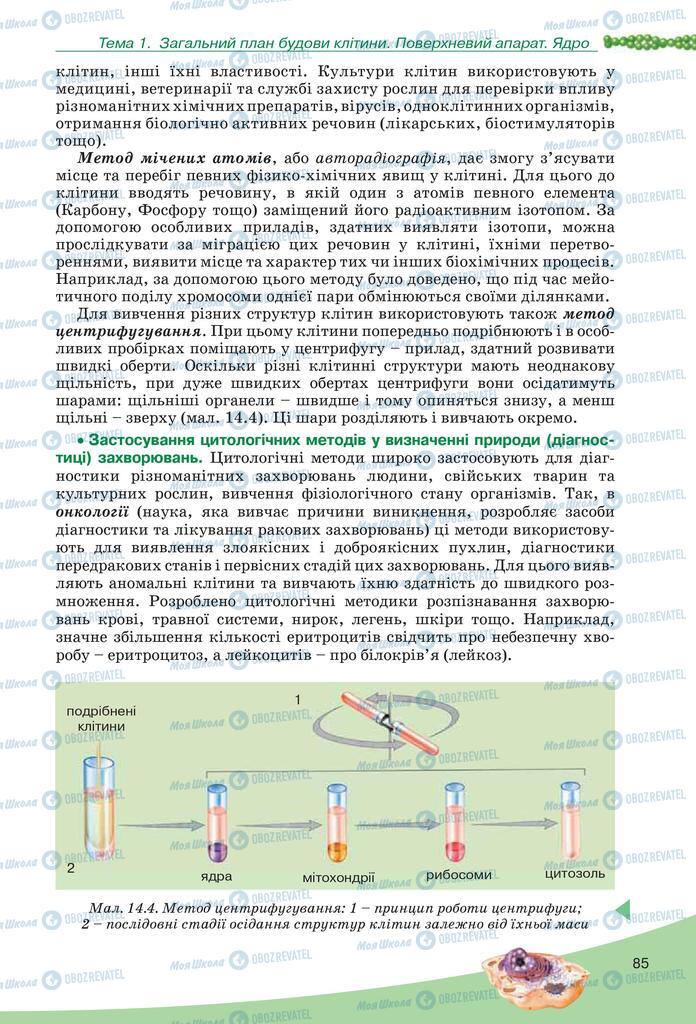 Учебники Биология 10 класс страница 85