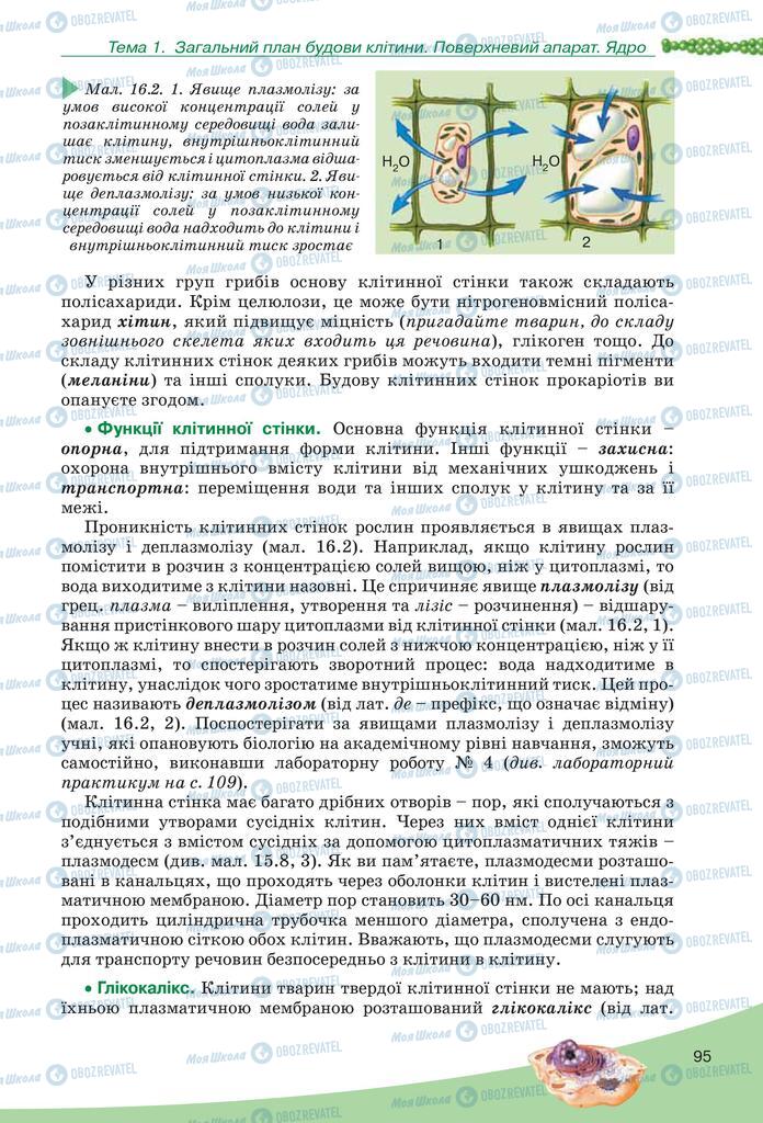 Підручники Біологія 10 клас сторінка 95