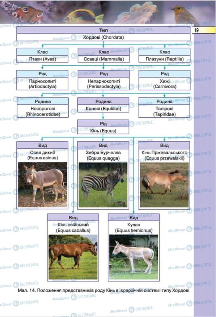 Підручники Біологія 7 клас сторінка 19