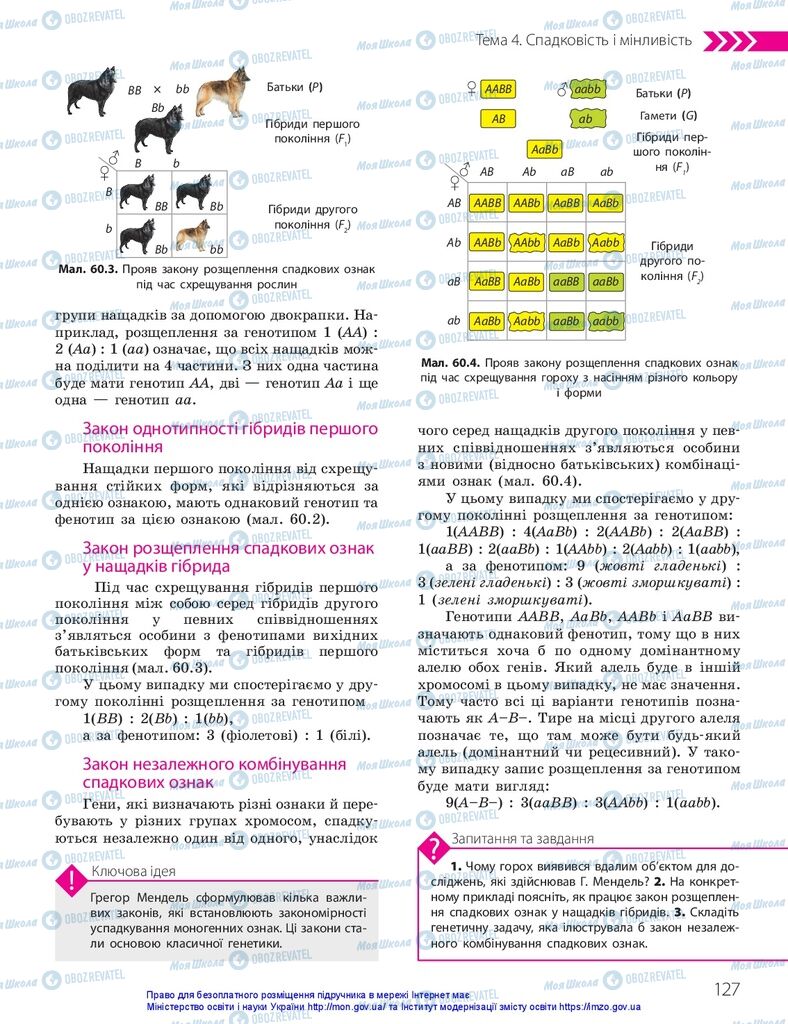 ГДЗ Біологія 10 клас сторінка  127