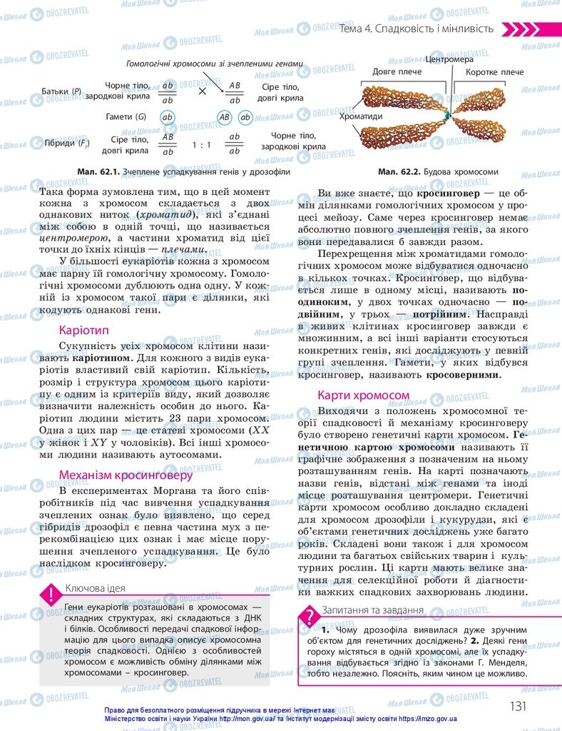 ГДЗ Биология 10 класс страница  131