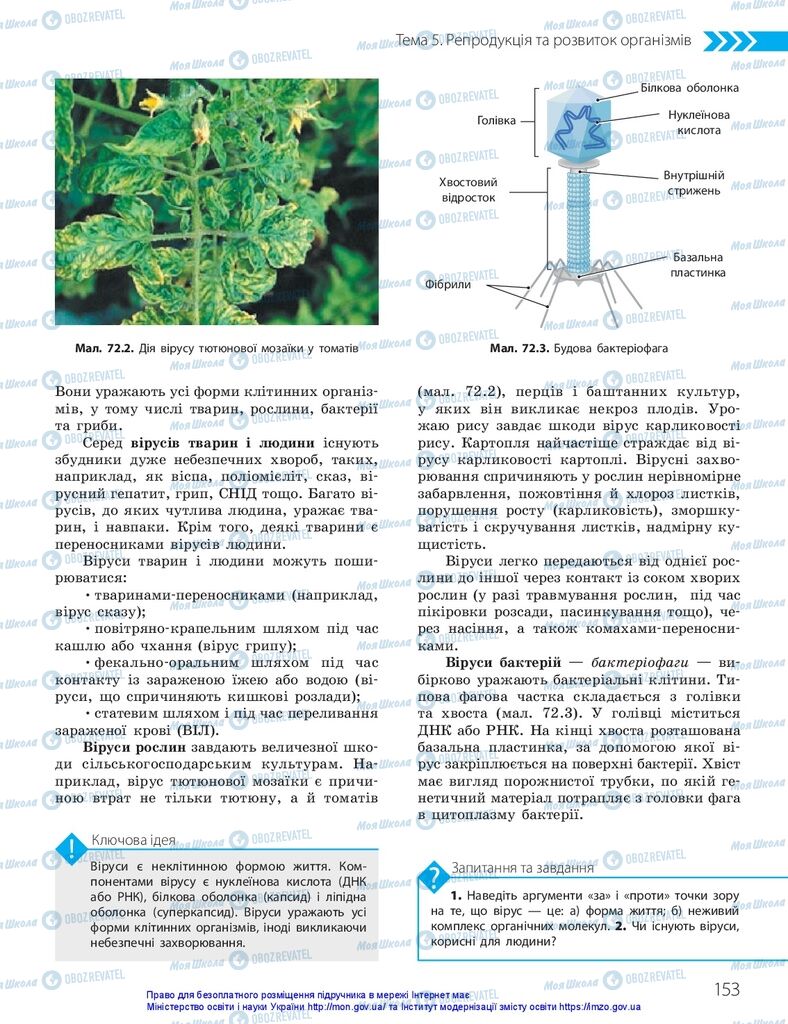 ГДЗ Біологія 10 клас сторінка  153
