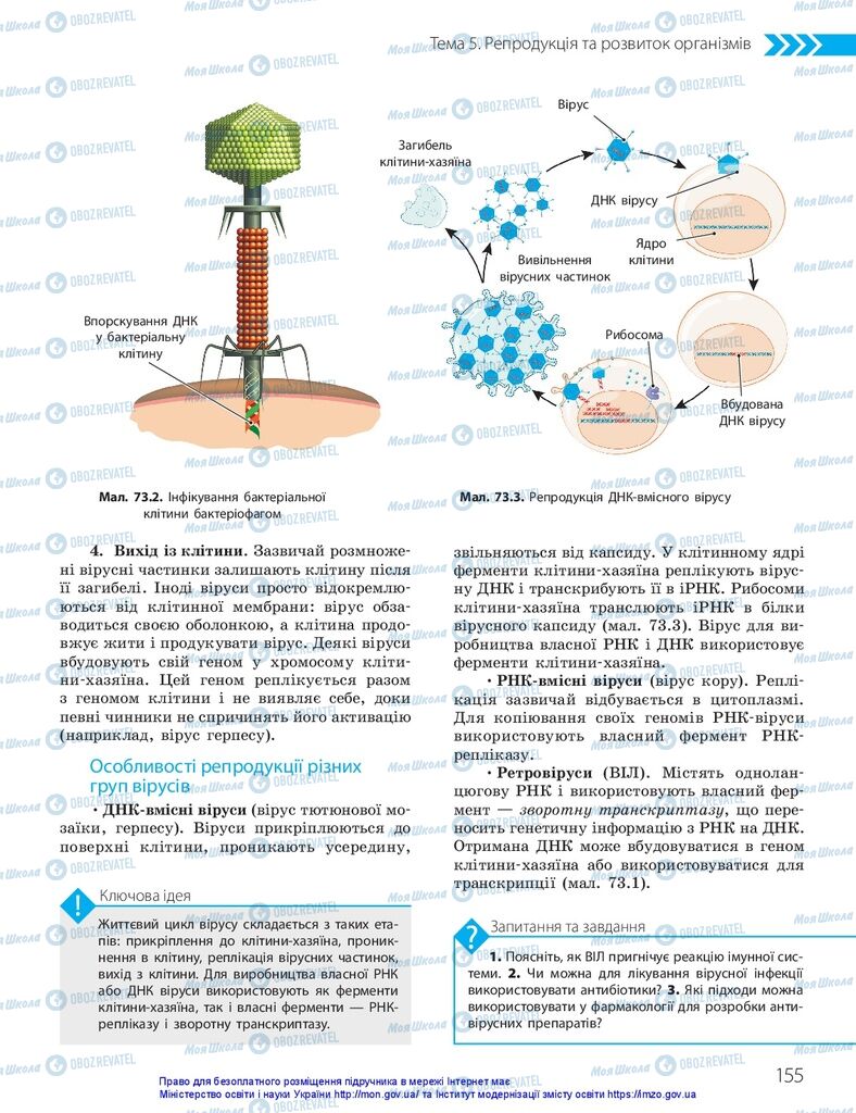 ГДЗ Біологія 10 клас сторінка  155