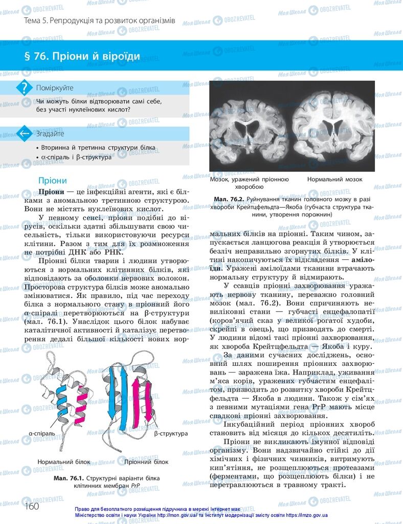 ГДЗ Біологія 10 клас сторінка  160