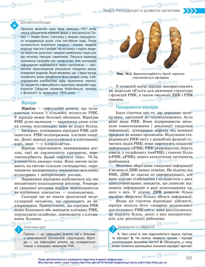 ГДЗ Биология 10 класс страница  161