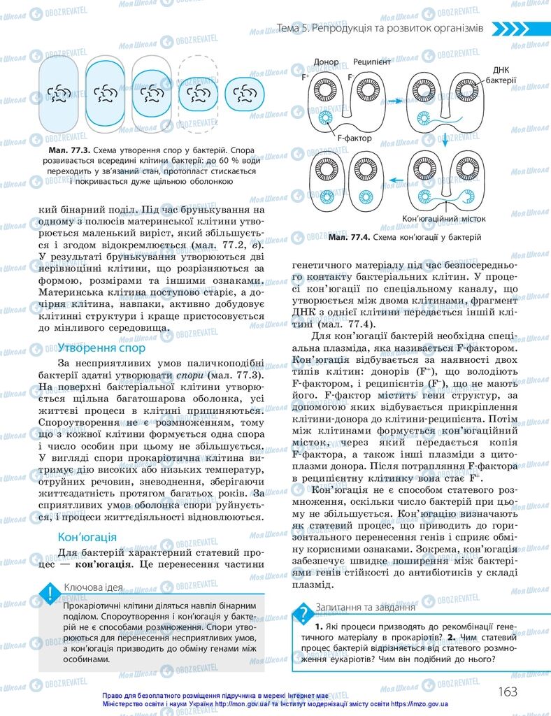 ГДЗ Биология 10 класс страница  163