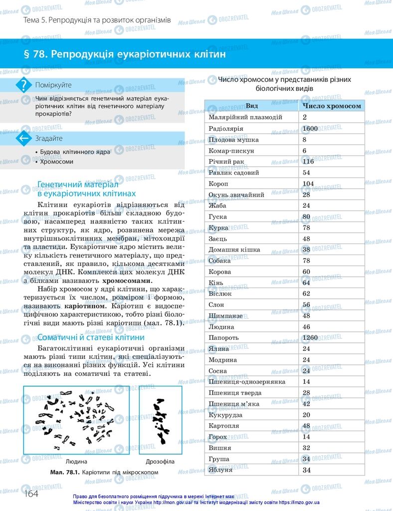 ГДЗ Біологія 10 клас сторінка  164