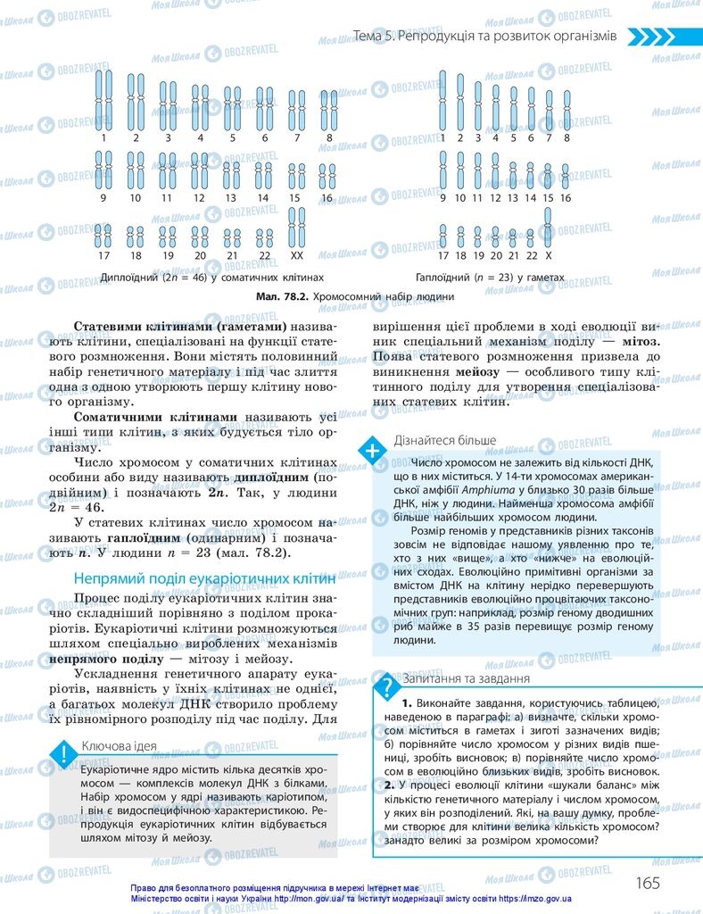 ГДЗ Біологія 10 клас сторінка  165