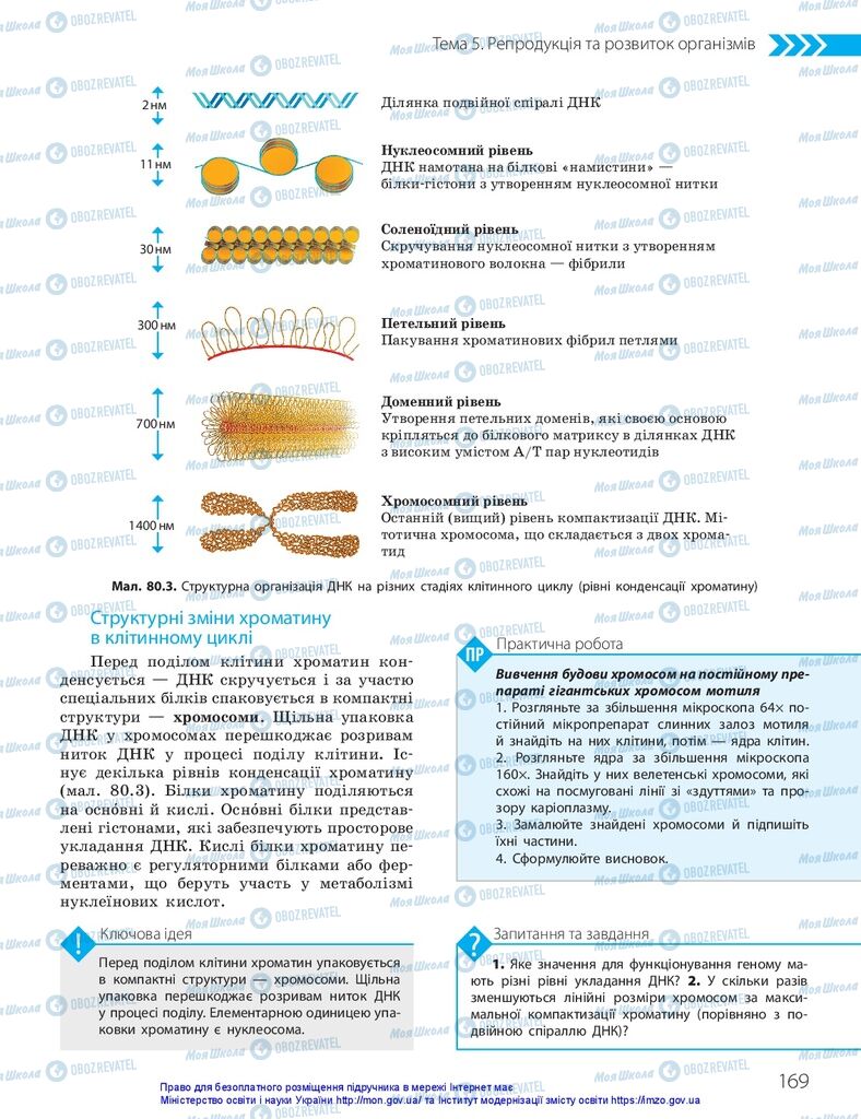 ГДЗ Біологія 10 клас сторінка  169