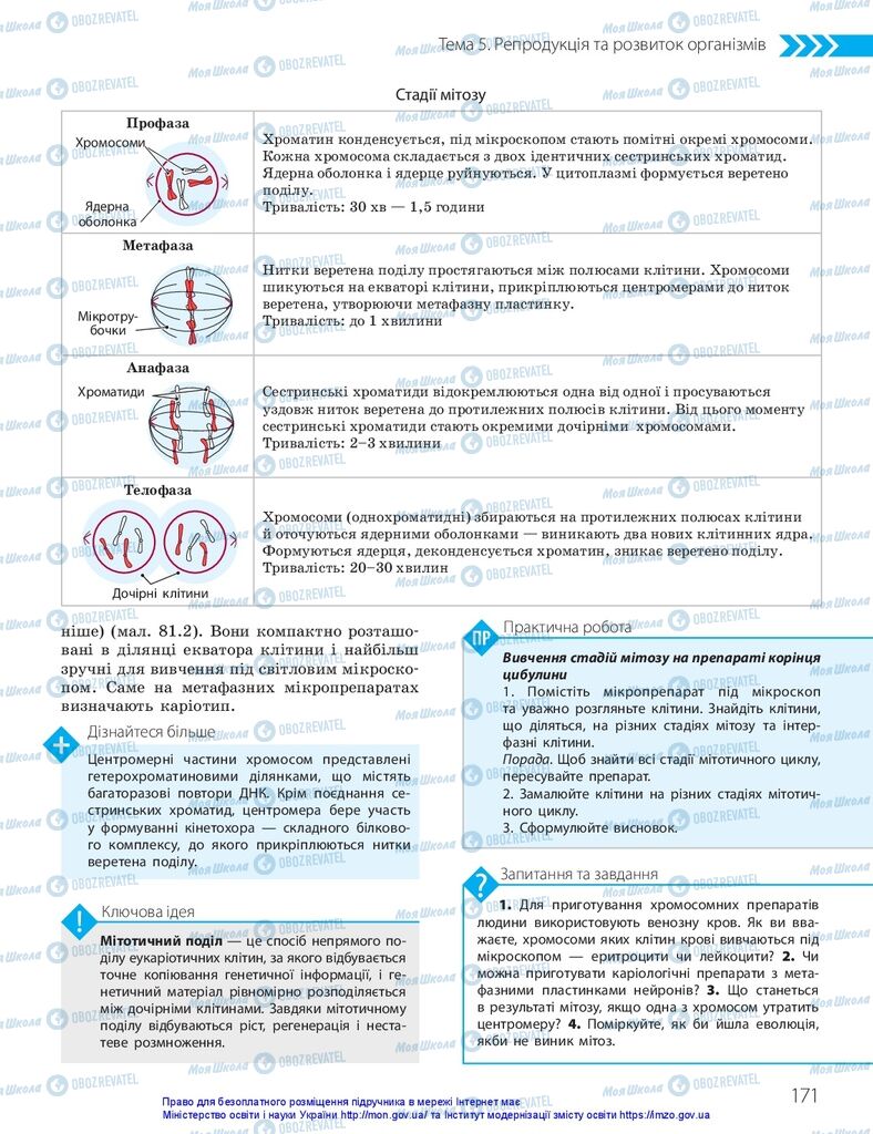 ГДЗ Біологія 10 клас сторінка  171