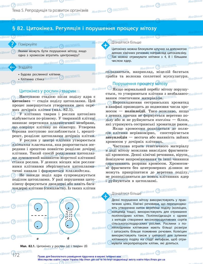 ГДЗ Биология 10 класс страница  172