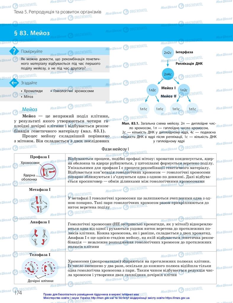 ГДЗ Біологія 10 клас сторінка  174