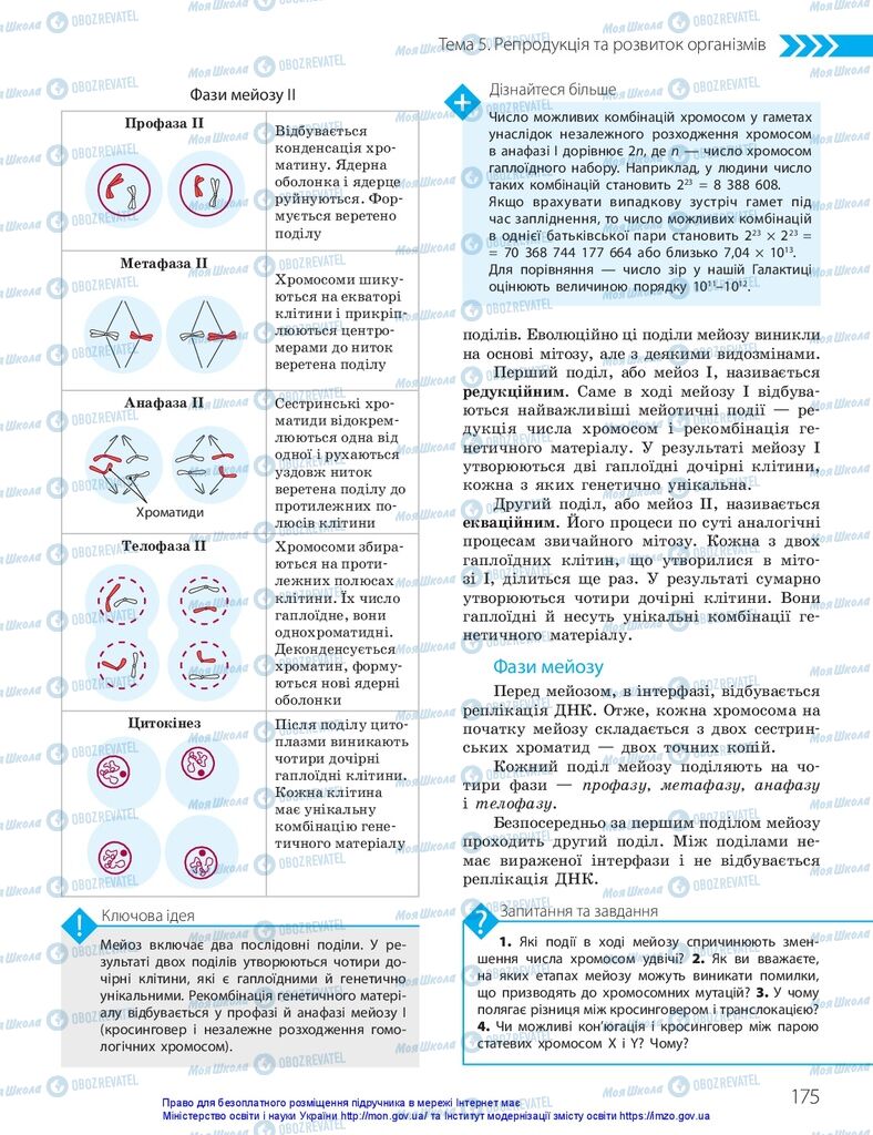 ГДЗ Биология 10 класс страница  175