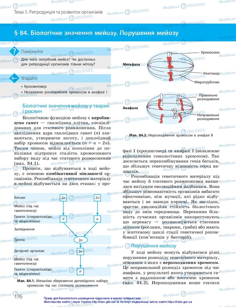 ГДЗ Биология 10 класс страница  176