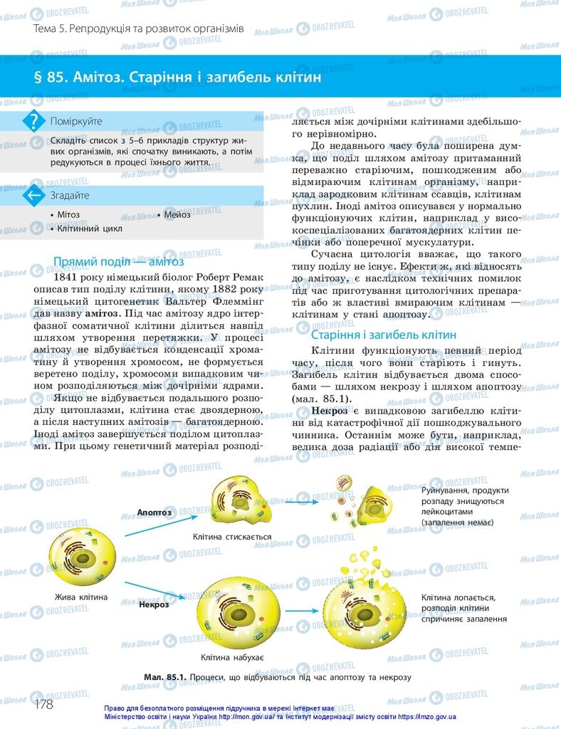 ГДЗ Биология 10 класс страница  178