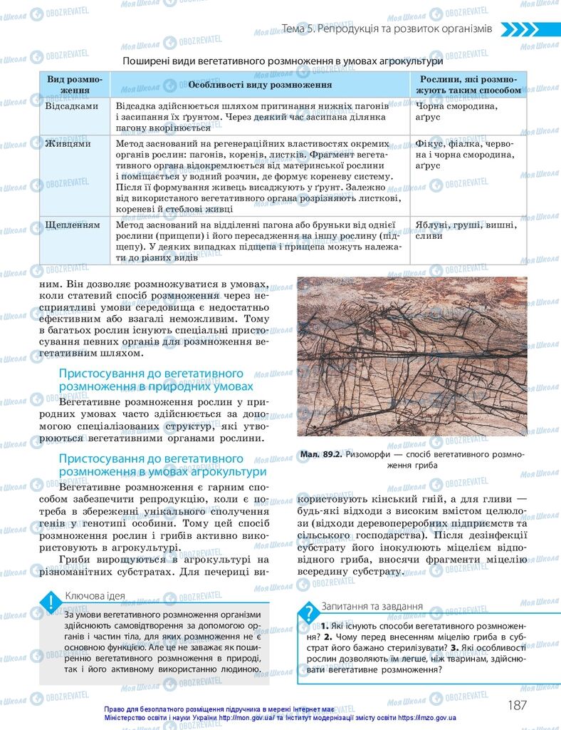 ГДЗ Биология 10 класс страница  187