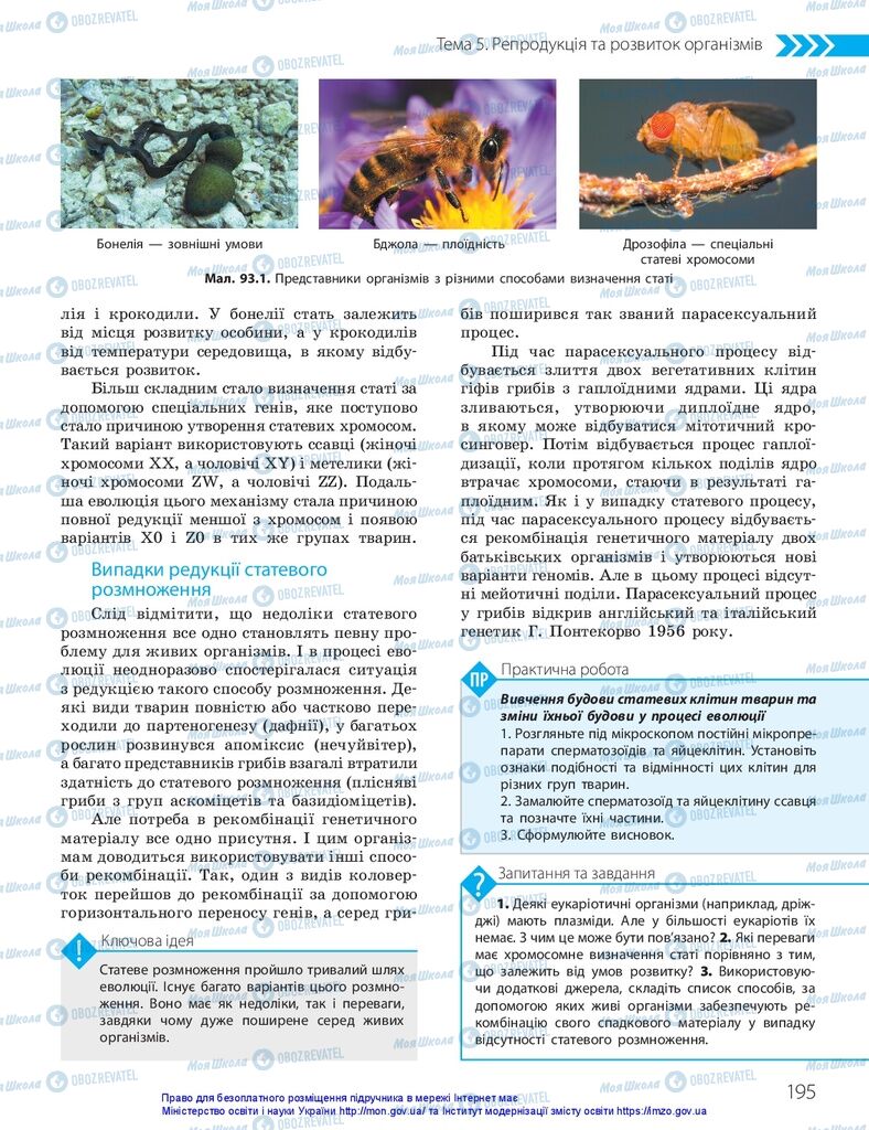 ГДЗ Биология 10 класс страница  195